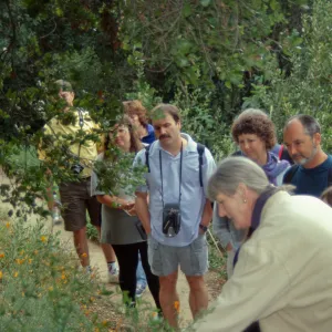 Docent Tour