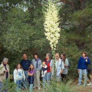 Docent Tour