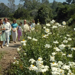 Docent Tour