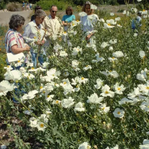 Docent Tour