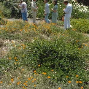 Docent Tour
