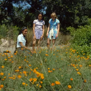 Garden Tour