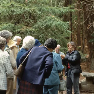 Garden Tour, Mary Carroll