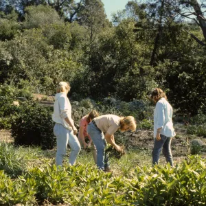 Garden Tour