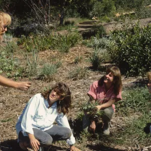 Garden Tour