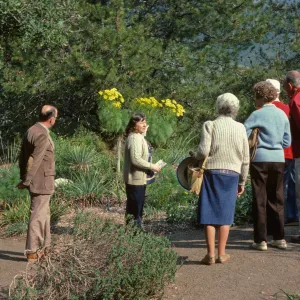 Garden Tour, Ruth Meadows