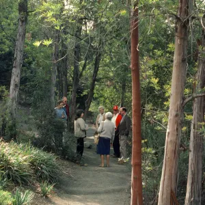 Garden Tour, Ruth Meadows