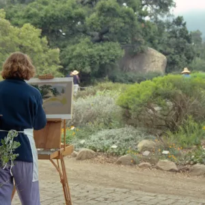 Chris Chapman's Art Class