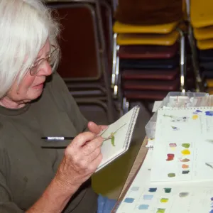 Art & Artists in the Garden