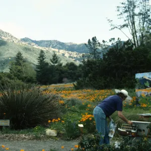 Artist in Garden