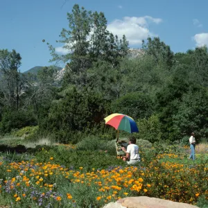 Artist in Garden