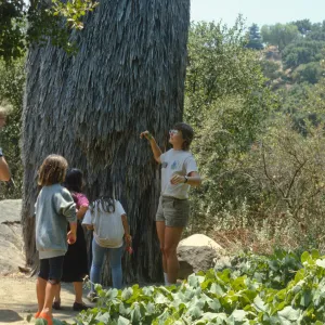Visitors in the Garden