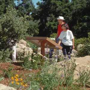Visitors in the Garden