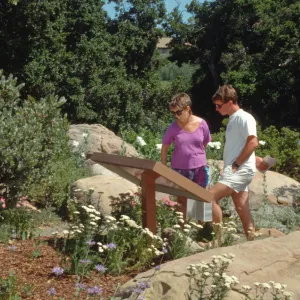 Visitors in the Garden