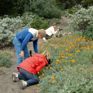 Photographers in the Garden