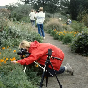 Photographers in the Garden