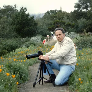 Photographers in the Garden