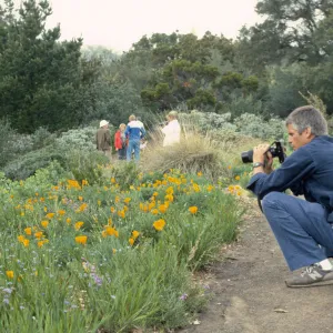 Photographers in the Garden