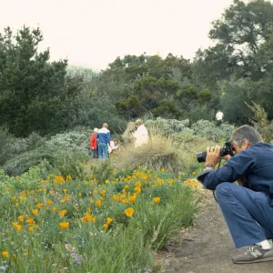 Photographers in the Garden