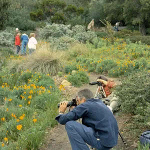 Photographers in the Garden