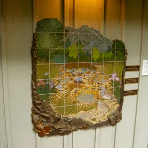 Information Kiosk Dedication, tile mosaic, dedication plaques