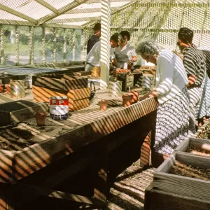 Propagation Class