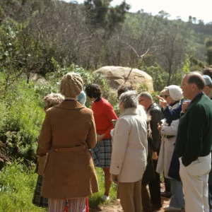 Wildflower Class, Jesusita Trail