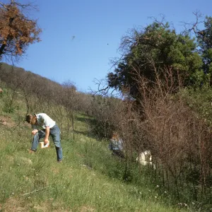 Wildflower Class, Rattlesnake Canyon