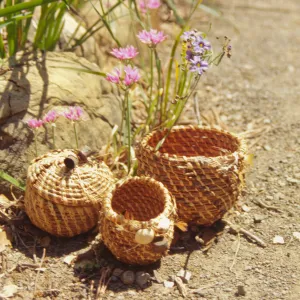 Pine Needle Basket Class