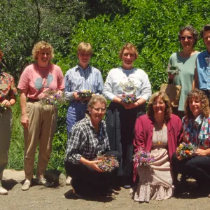Herb Baskets, Carol Ostroff