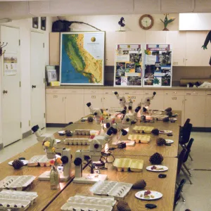Seed Workshop, Sally Isaacson