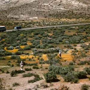 Bus trip stop near Tropico Gold Mine, Antelope Valley