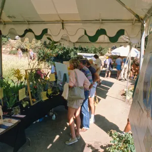 Earth Day 1989