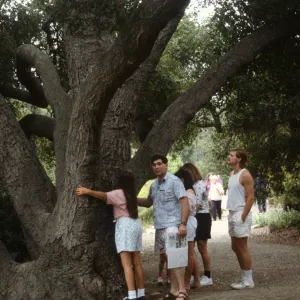 Nature Loves a Detective 1992