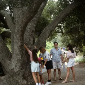 Nature Loves a Detective 1992