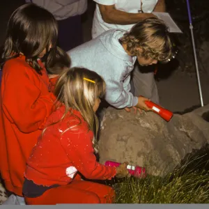 Great Garden Nature Night 1995