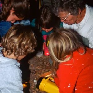 Great Garden Nature Night 1995, Avis Keedy