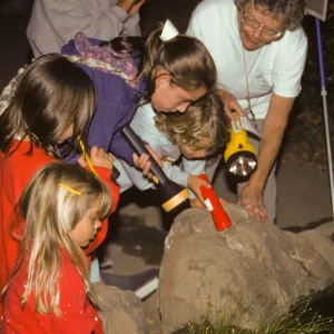 Great Garden Nature Night 1995, Avis Keedy