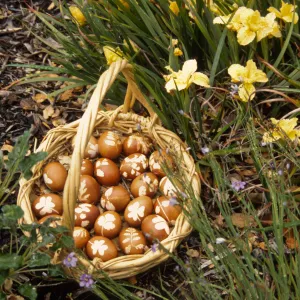 Eggstravaganza 1996