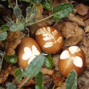 Eggstravaganza 1996