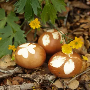 Eggstravaganza 1996