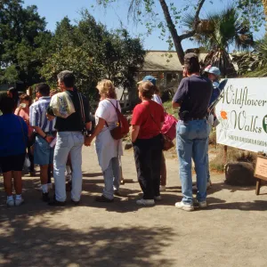 Wildflower Festival 1996