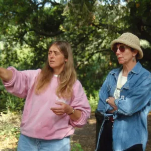 Egg Hunt 2001