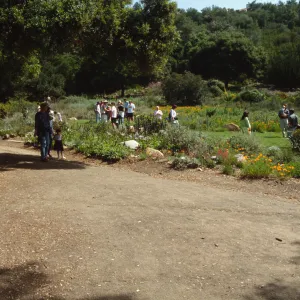 Egg Hunt 2001