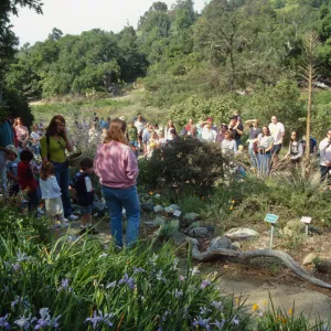 Egg Hunt 2001