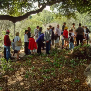 Egg Hunt 2001