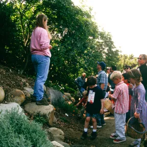 Egg Hunt 2001
