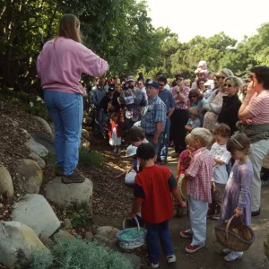 Egg Hunt 2001