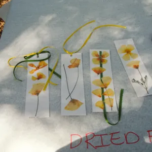 Egg Hunt 2001