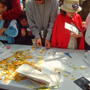 Egg Hunt 2001